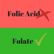 folate vs. folic acid